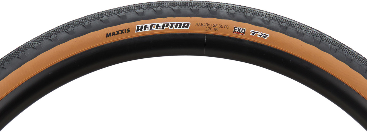 Maxxis Receptor Dual EXO TR 28 Faltreifen Bike Components