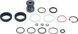 RockShox Service Kit 200 h/1 Year for Domain R/RC B1 as of 2022 Model