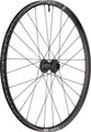 DT Swiss EX 1700 Spline 30 Disc 6-Bolt 29" Wheel