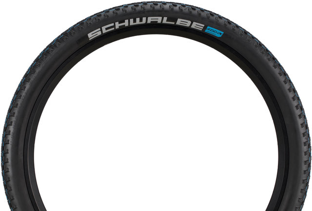 Schwalbe Racing Ray Evolution ADDIX SpeedGrip Super Ground 26" Folding Tyre - black/26x2.25