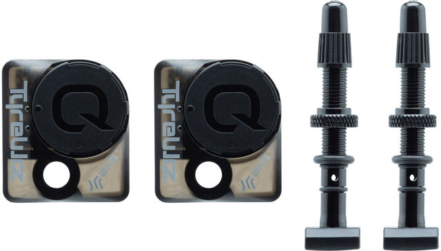 QUARQ TyreWiz Tyre Pressure Sensor for MOTO - black/universal