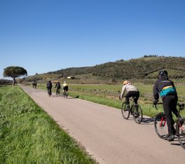 Un groupe de cyclistes roule sur une route étroite à travers le paysage toscan, sous un ciel bleu.