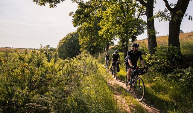 Die richtigen Taschen für Dein Bikepacking-Abenteuer