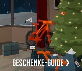 einzelkampagne > geschenkeguide | 2024 | de