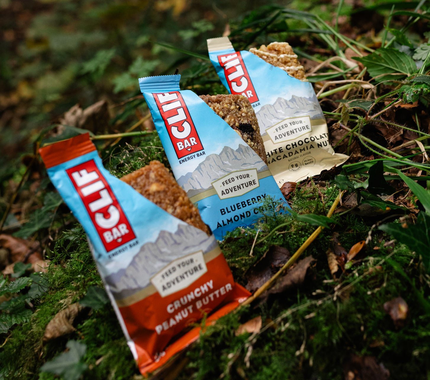 Clif Bar Riegel liegen auf einem Baumstamm