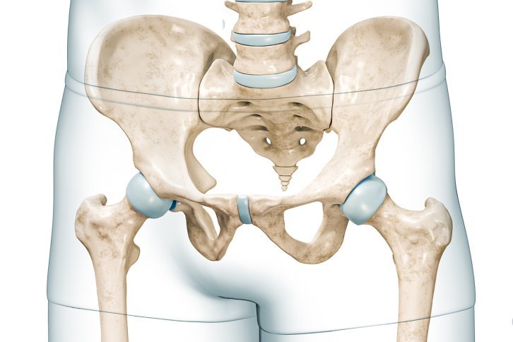 Vista anatómica: Una vista de un esqueleto humano, concretamente de la región pélvica con las tuberosidades isquiáticas, de frente.