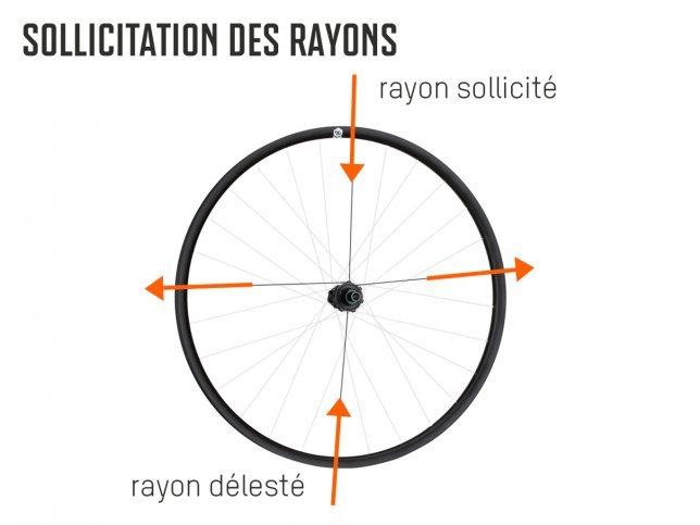 Roue De Vélo Et Des Rayons.