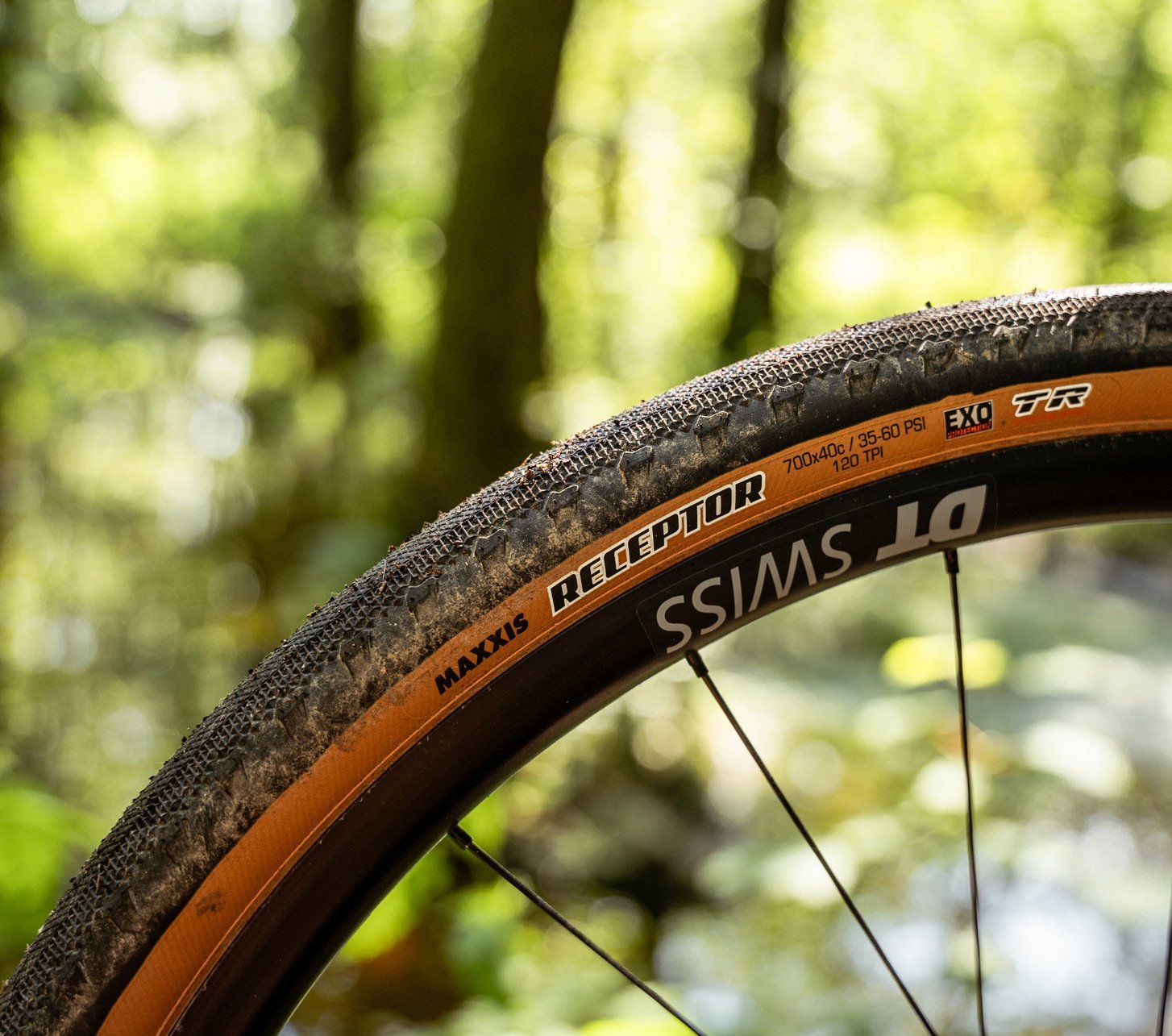 Detailaufnahme von einem Maxxis Receptor Gravel Reifen