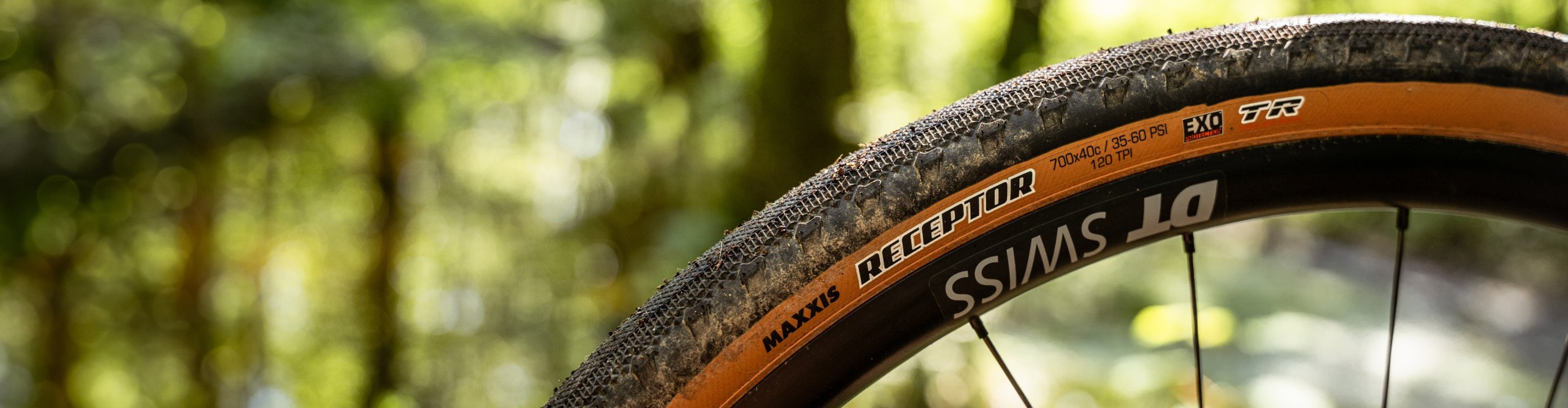 Detailaufnahme von einem Maxxis Receptor Gravel Reifen