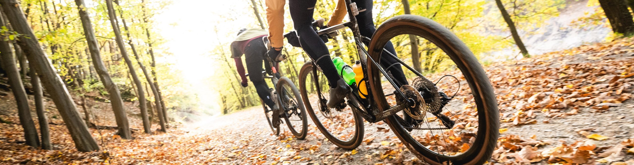 Dynamisches Foto von zwei Gravel Bikern durch eine Herbstwald