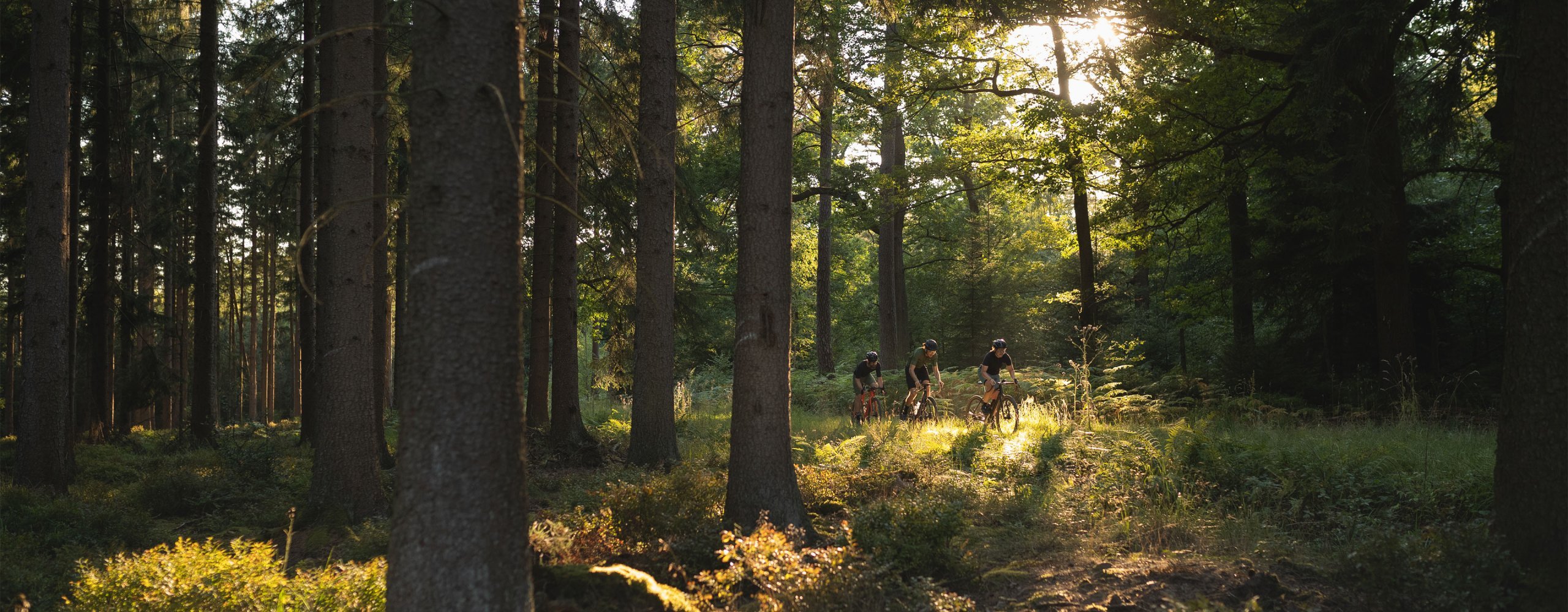 Eine Gruppe von Gravelern fährt durch einen Wald
