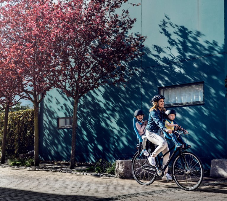 MidGard Fahrrad Kindersitz für Befestigen vorne am Rahmen, Kinder
