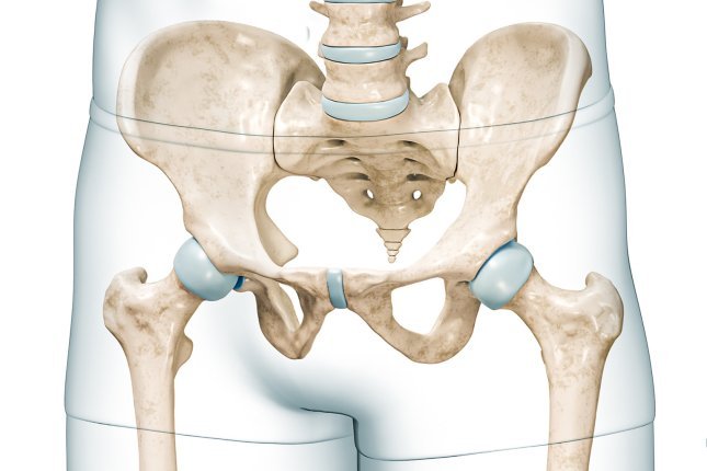 Anatomische Ansicht eines menschlichen Skeletts, konkret des Beckenbereichs mit den Sitzbeinhöckern, von vorn