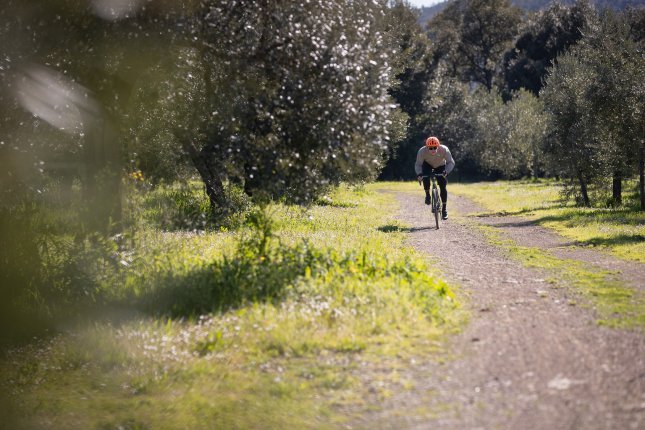 Un cycliste gravel portant un casque orange roule vers la caméra sur un chemin de gravier bordé d’oliviers.