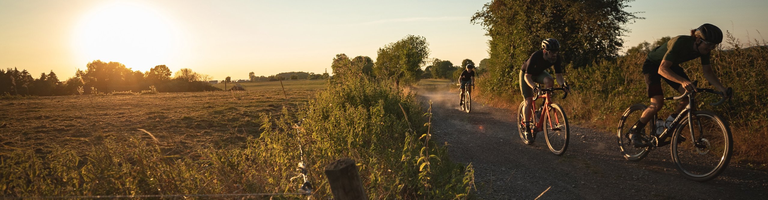 3 Gravelbiker fahren in der Abendsonne über einen staubigen Schotterweg