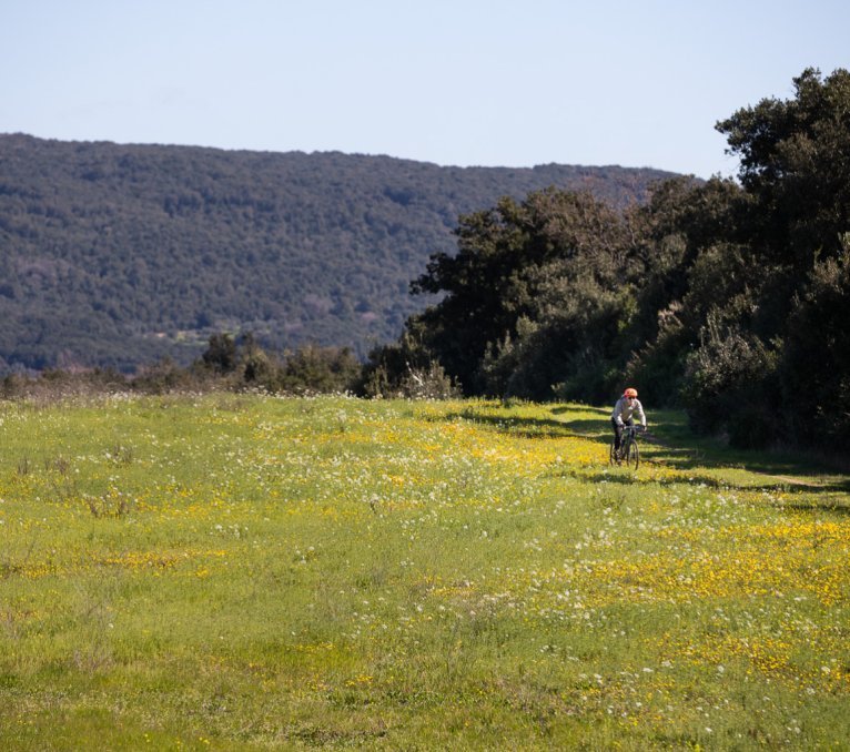 Un homme avec un casque de vélo orange roule à vélo gravel le long d’un pré verdoyant. À l’arrière-plan, un paysage toscan sous un ciel bleu.