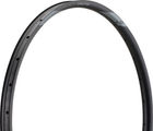 NEWMEN Evolution SL A.30 Disc 29" Rim