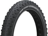 Schwalbe Jumbo Jim Performance ADDIX 26+ Fatbike Reifen