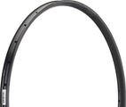 NoTubes Arch MK4 Disc 29" Rim