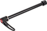 DT Swiss RWS E-Thru MTB Thru Axle with Quick-Release Skewer