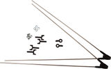 SKS Replacement struts Chromoplastics with ASR - 2 pieces