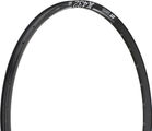 DT Swiss X 432 Disc 29" Rim