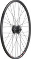 bc basic Mountain Alivio Disc 6-Loch - DT Swiss 466D 26" Laufrad
