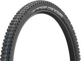 Schwalbe Wicked Will Evolution ADDIX SpeedGrip Super Ground 29" Faltreifen