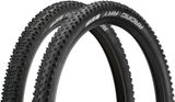 Schwalbe Racing Ralph Performance + Racing Ray Perfomance 29" Faltreifen im Set