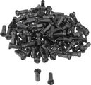 Sapim Race straightpull radios + nipples - 100 pcs - modelo descatalogado