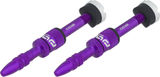 e*thirteen Quick Fill Tubeless Valve - 2 Pack