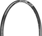 DT Swiss M 502 Disc 29" Rim