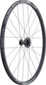 SON 29 S 24-hole + DT GR 531 Disc 6-bolt 28" wheel