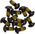 Magura Brake Rotor Bolts