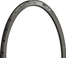 DT Swiss RR 521 DB Disc Road Rim