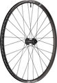 DT Swiss EX 1700 Classic 30 Disc Center Lock 29" Laufrad