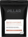 PILLAR Performance Creatine Monohydrate - Performance Capacity Pouch