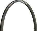 DT Swiss H 552 Disc 29" Rim