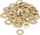 DT Swiss DT Alpine Spoke Head Washers