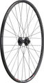 bc basic Mountain/Urban Alivio Disc 6L DT Swiss 466D 29" Laufrad