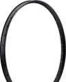 Hope Fortus 35 Disc 29" Felge