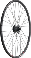 Mountain/Urban Alivio Disc 6L DT Swiss 466D 29" Nabendynamo Laufrad