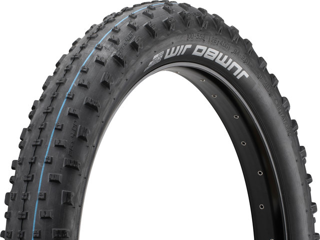 Schwalbe Pneu pliable Fatbike Jumbo Jim Evolution ADDIX SpeedGrip SuperGround 2 - noir/26 /100 /4 