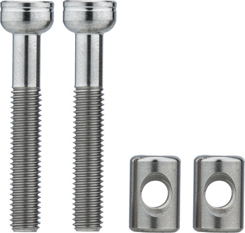 BikeYoke Seat clamp bolts titanium - titanium