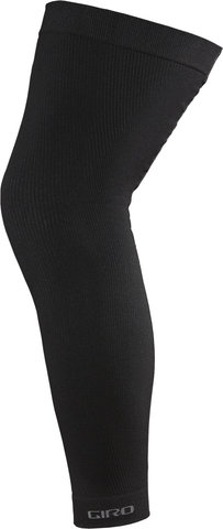 Giro Calentadores de rodillas Chrono Knee Warmer - black/M/L