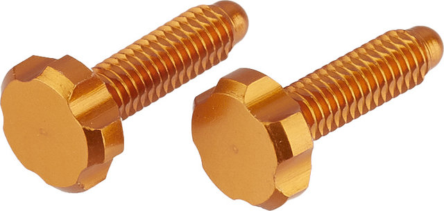 OAK Components EPA Screws for Root-Lever Pro - orange