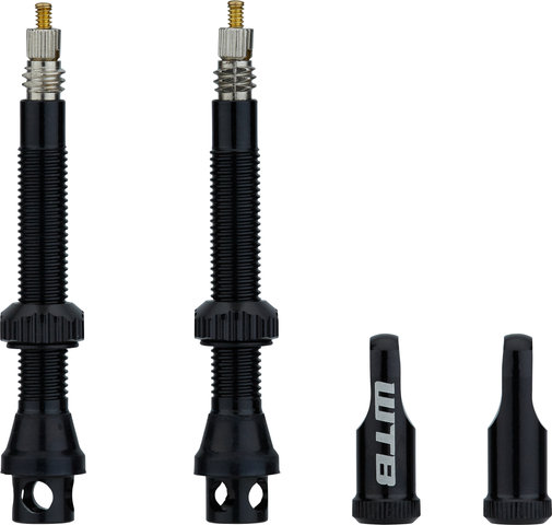 WTB Valve tubeless TCS AL Max-Flow - 2 pièces - noir/Valve Presta (SV)