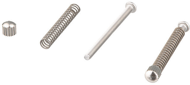 Surly Dropout Bolts for Cross Check - silver/universal
