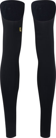 ASSOS Jambière GT Spring Fall C2 - black series/S/M/L