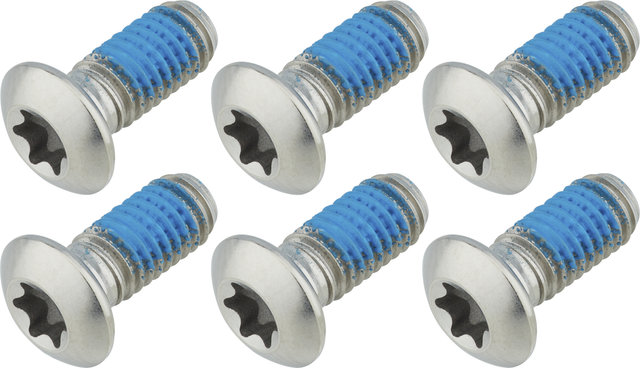 TRP Titanium Bolts for Brake Rotors - silver